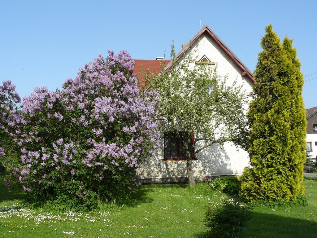 Apartmany Snezenka Destne v Orlickych horach Exterior foto